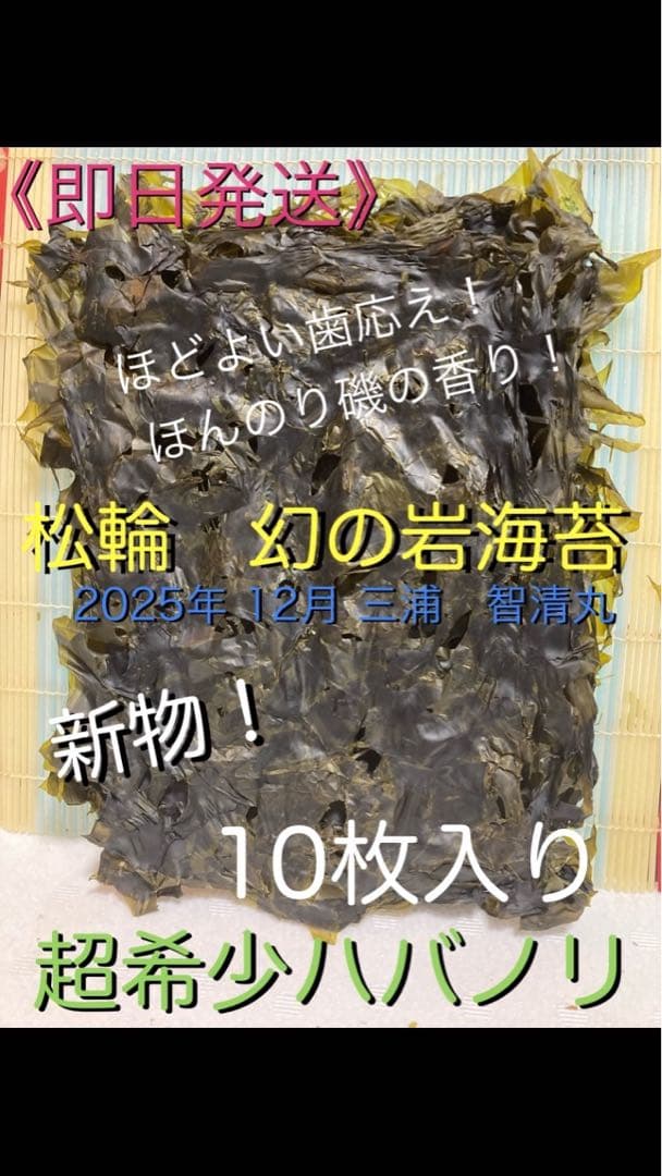 【即日発送】ねこ　新物　希少ハバノリ神奈川三浦松輪幻の岩海苔10枚入り