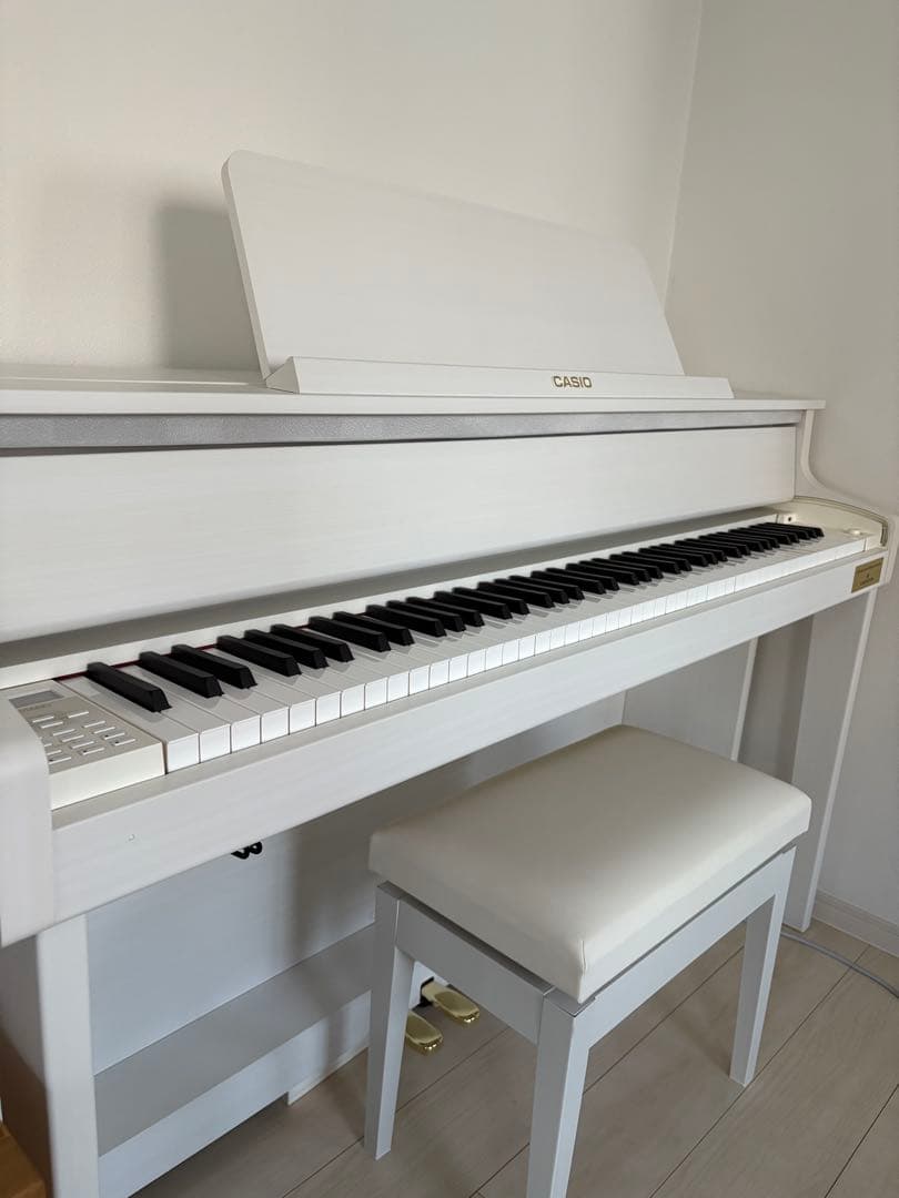 送料込CASIO GP-310WE 2023年製