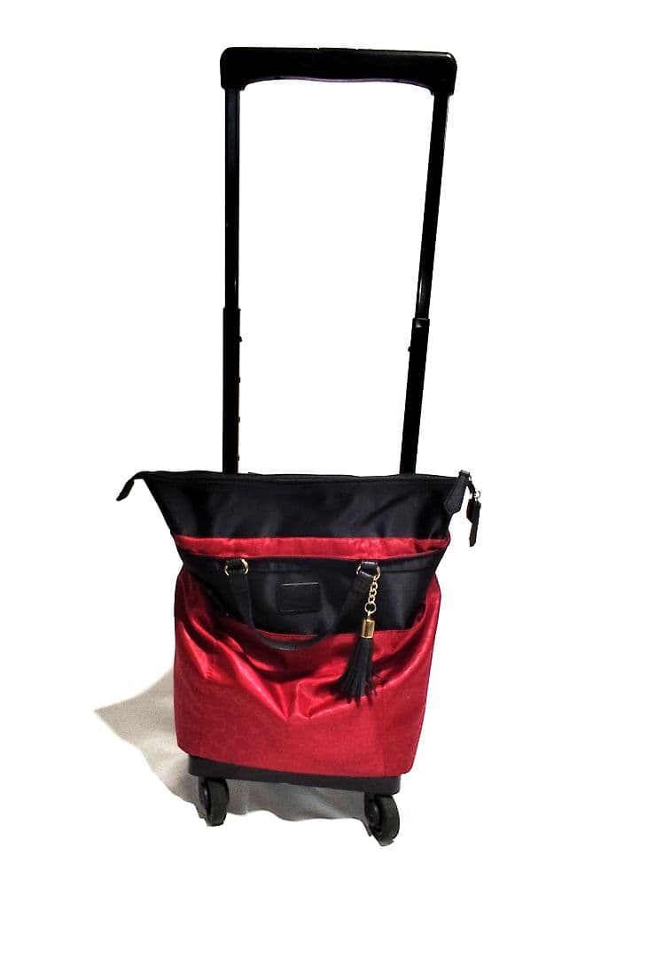 SWANY　スワニー　キャリーカートバッグ 中古品