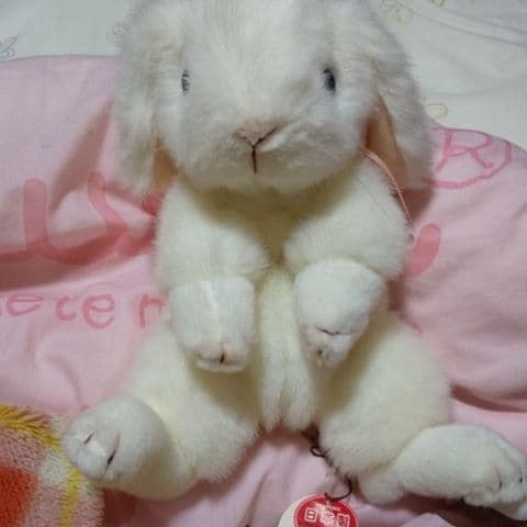 (吉徳の。)ぬいぐるみ