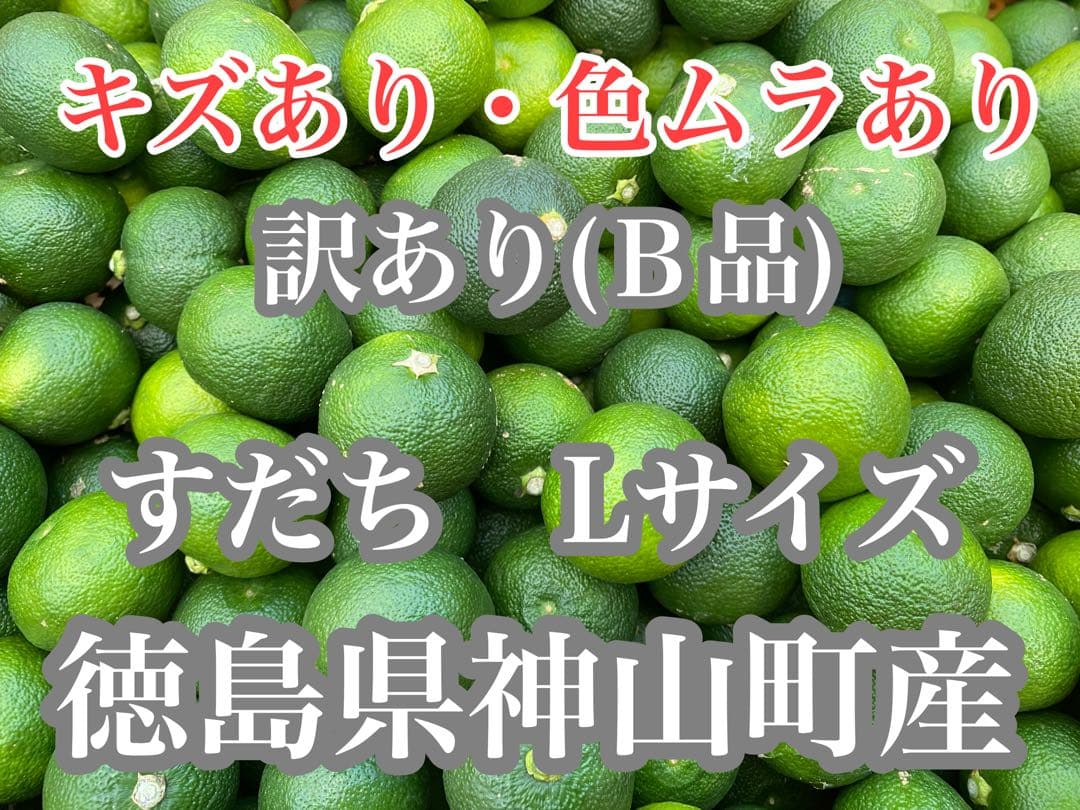 徳島県神山町産すだち《冷蔵貯蔵》　キズ・色ムラあり 5キロ Lサイズ ①
