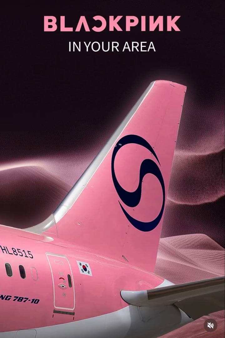 【非売品/当選品】BLACKPINK 大韓航空 特別塗装機 モデルプレーン 模型