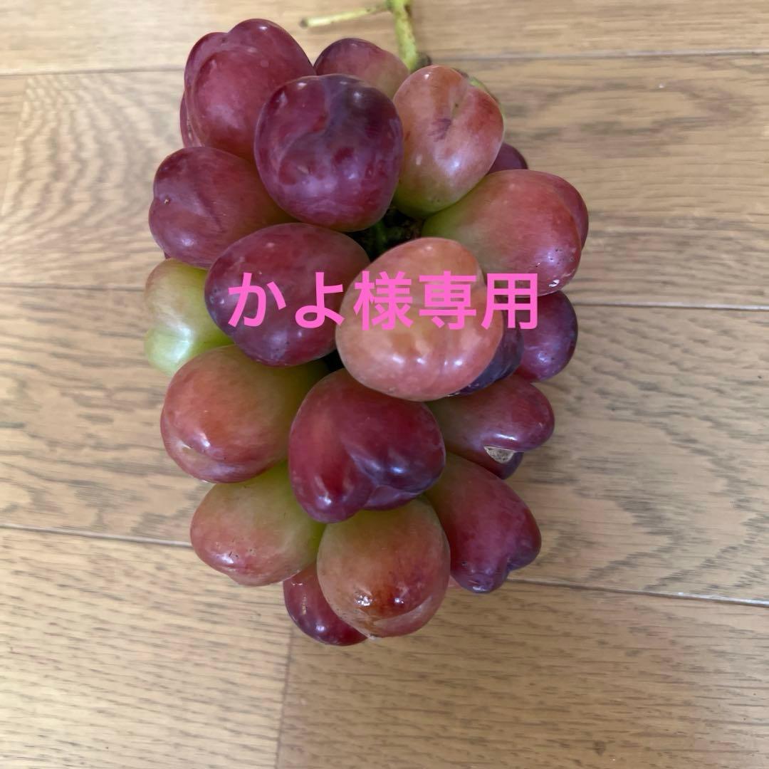 かよ①