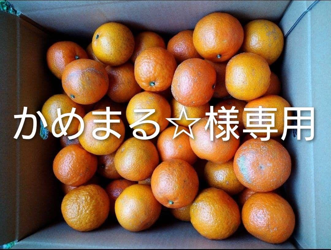 かめまる✩　屋久島たんかん　L.MS 20キロ