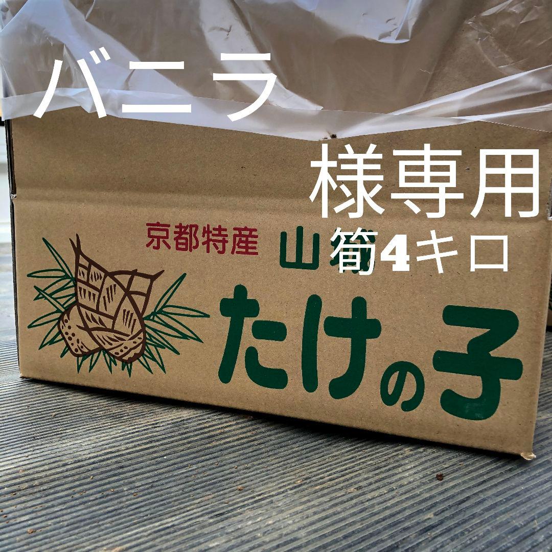 バニラ　筍4キロ