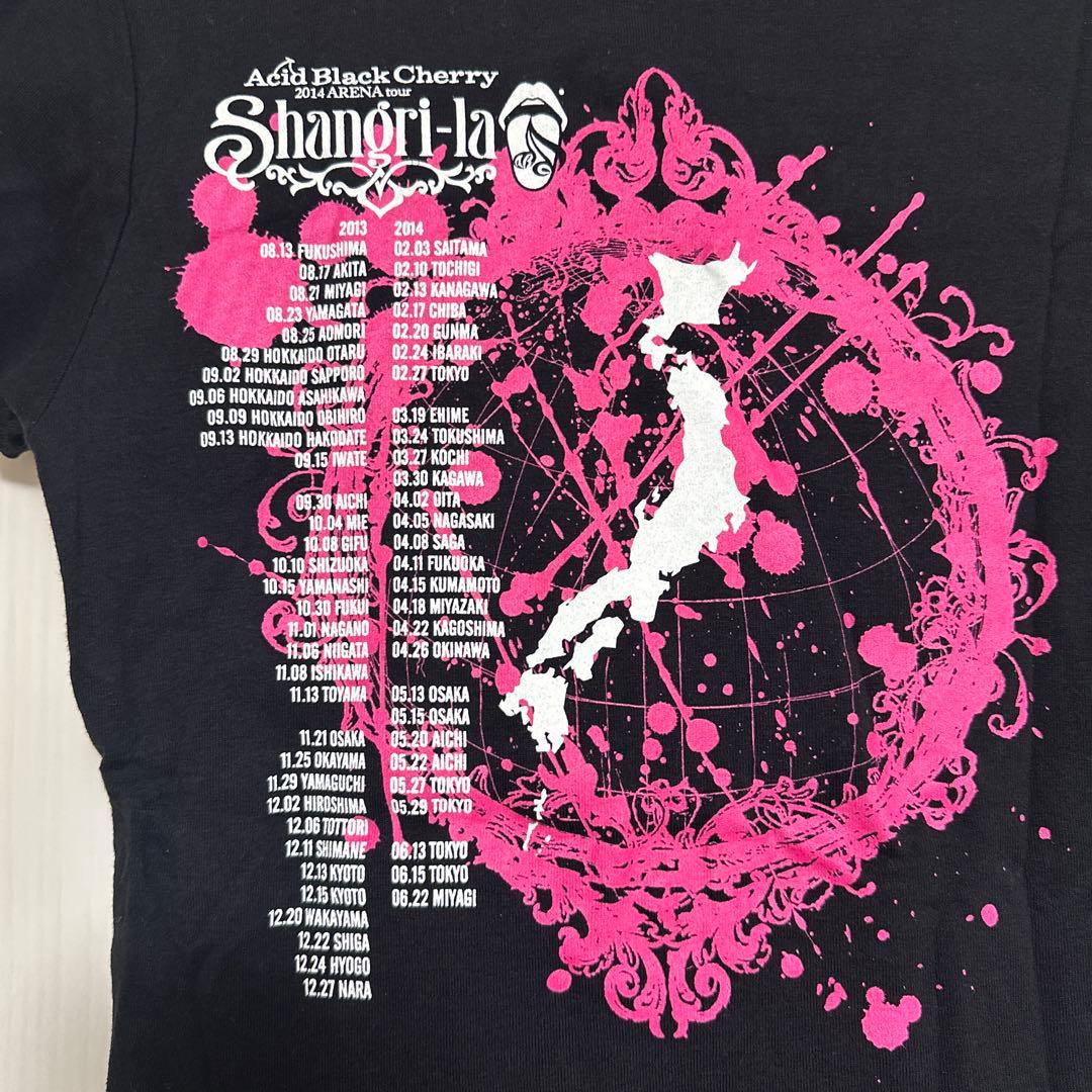 Acid Black CherryメンズМレディース Tシャツ FCタオルセット