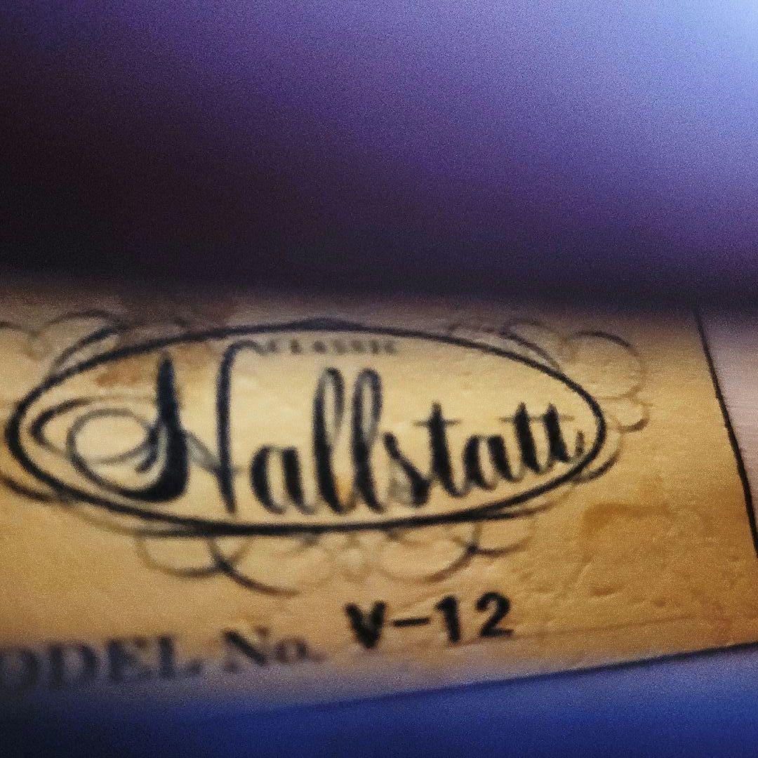 Hallstatt v-12 バイオリン 4/4サイズ ハードケース付き