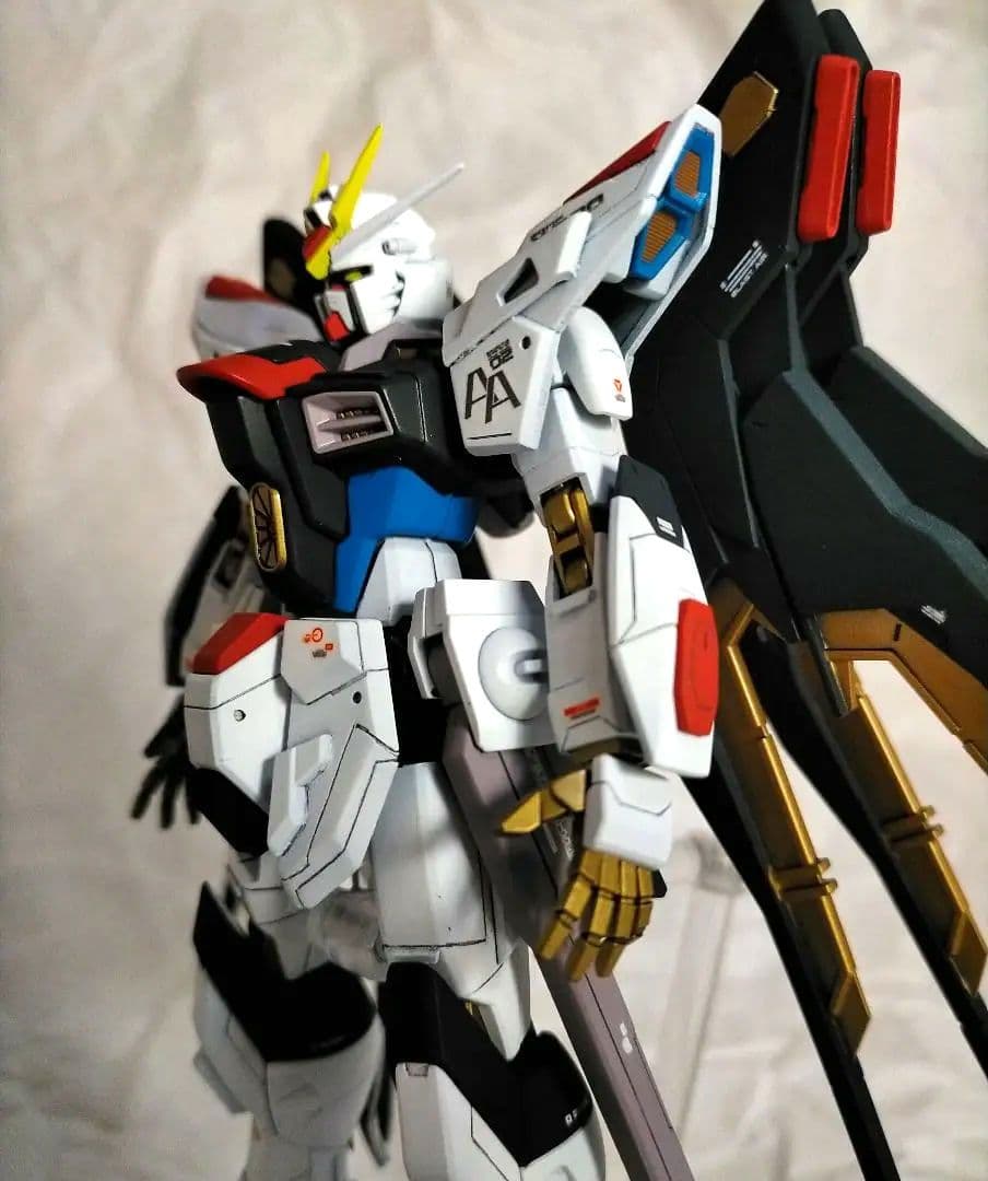 HGCE ストライクフリーダムガンダム 全塗装完成品(多数改修点あり)