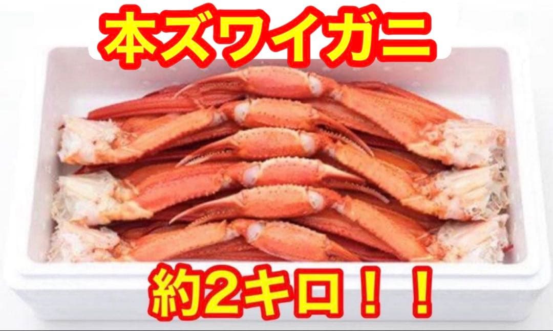 【実入り抜群！】冷凍ボイル本ズワイガニ2キロ！早い者勝ち！