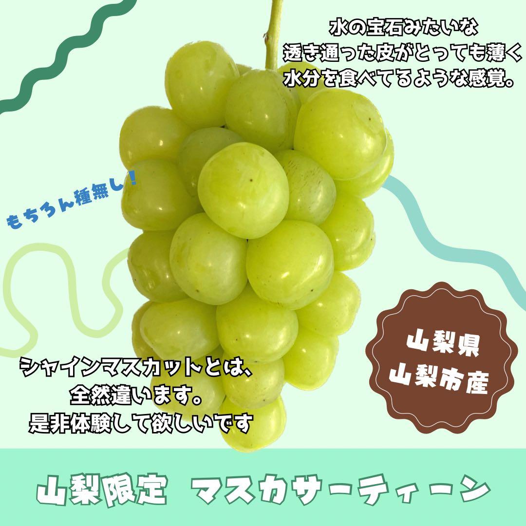 のんた
