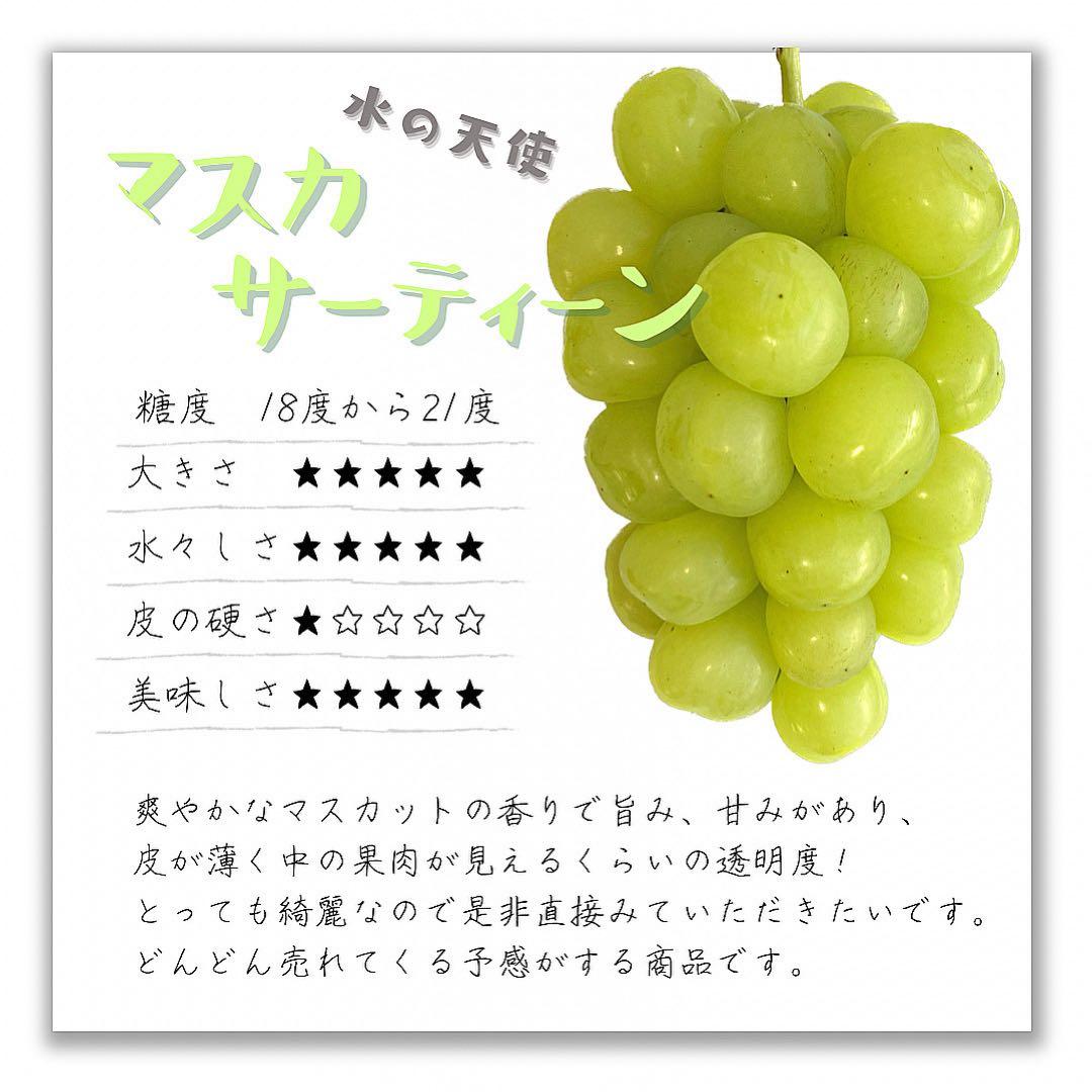 のんた