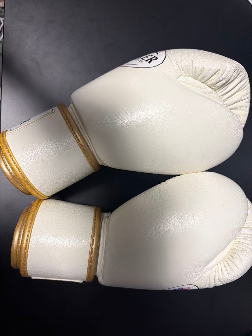 ISAMI BOXERボクシンググローブ 本革 10オンス