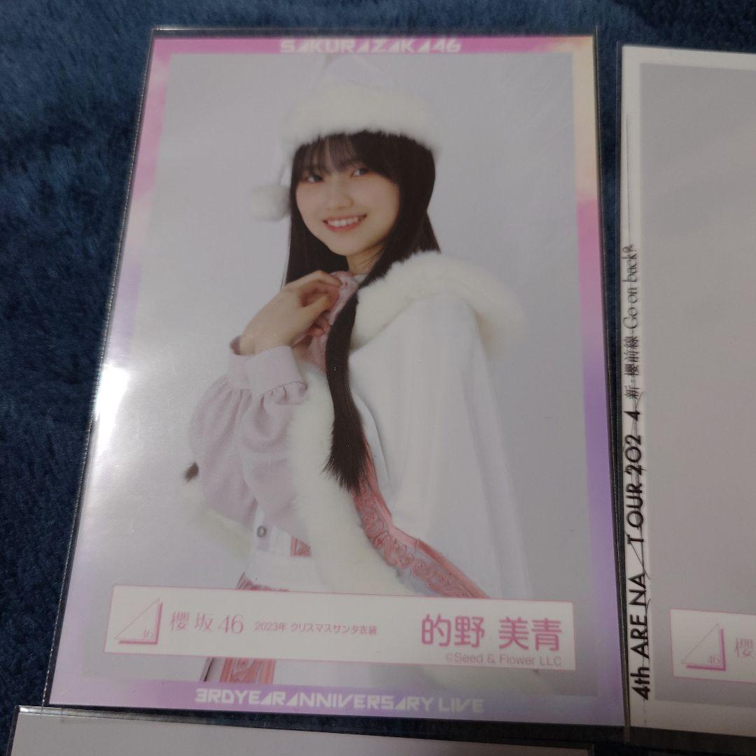 櫻坂46　的野美青　生写真　バラ