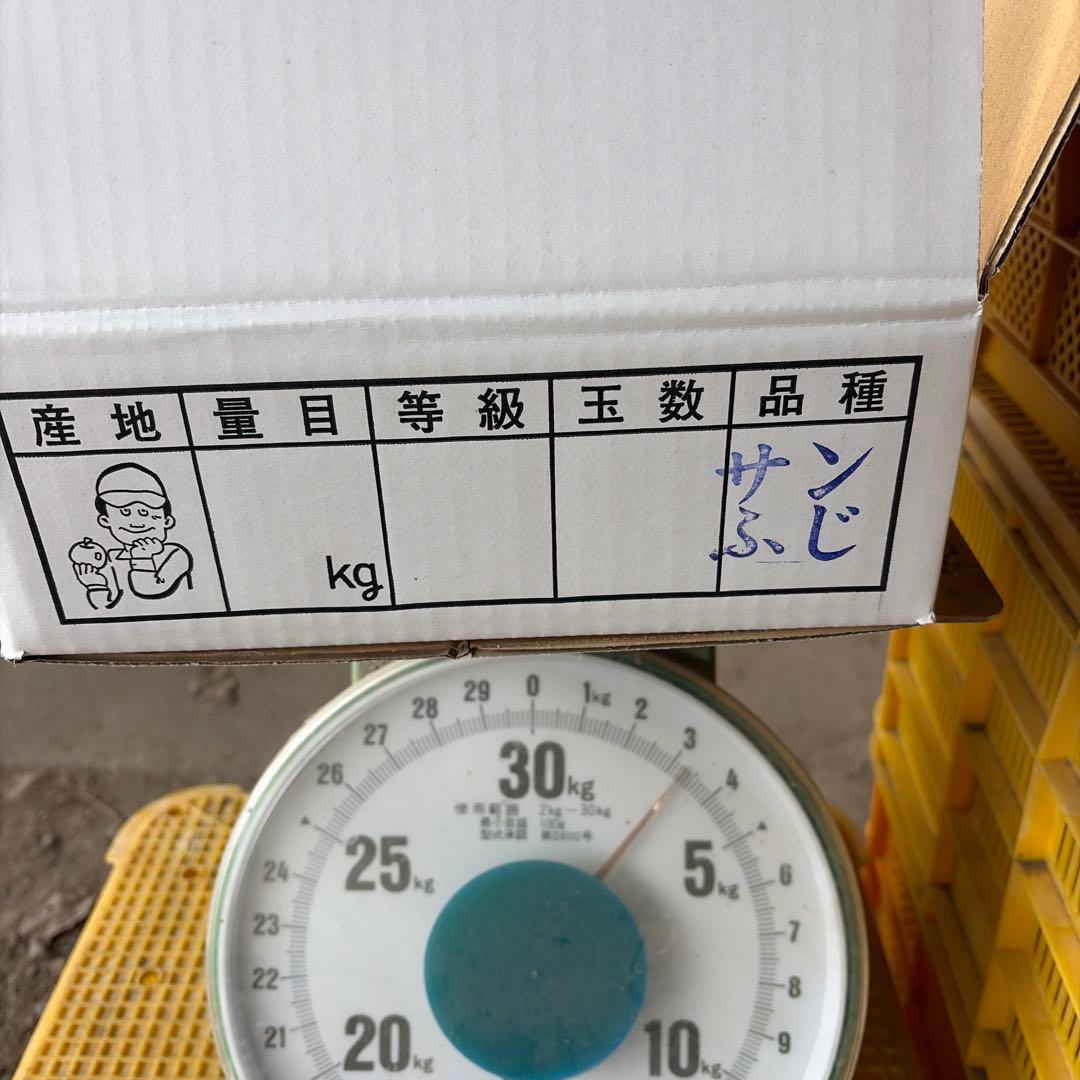 なおさんです