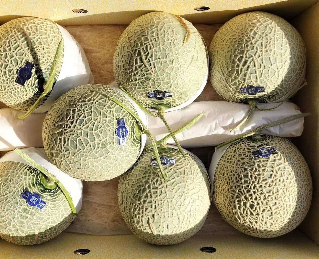 し*様 高知産　訳あり温室マスクメロン　７玉　約７，６Kｇ　家庭用　北海道沖縄発