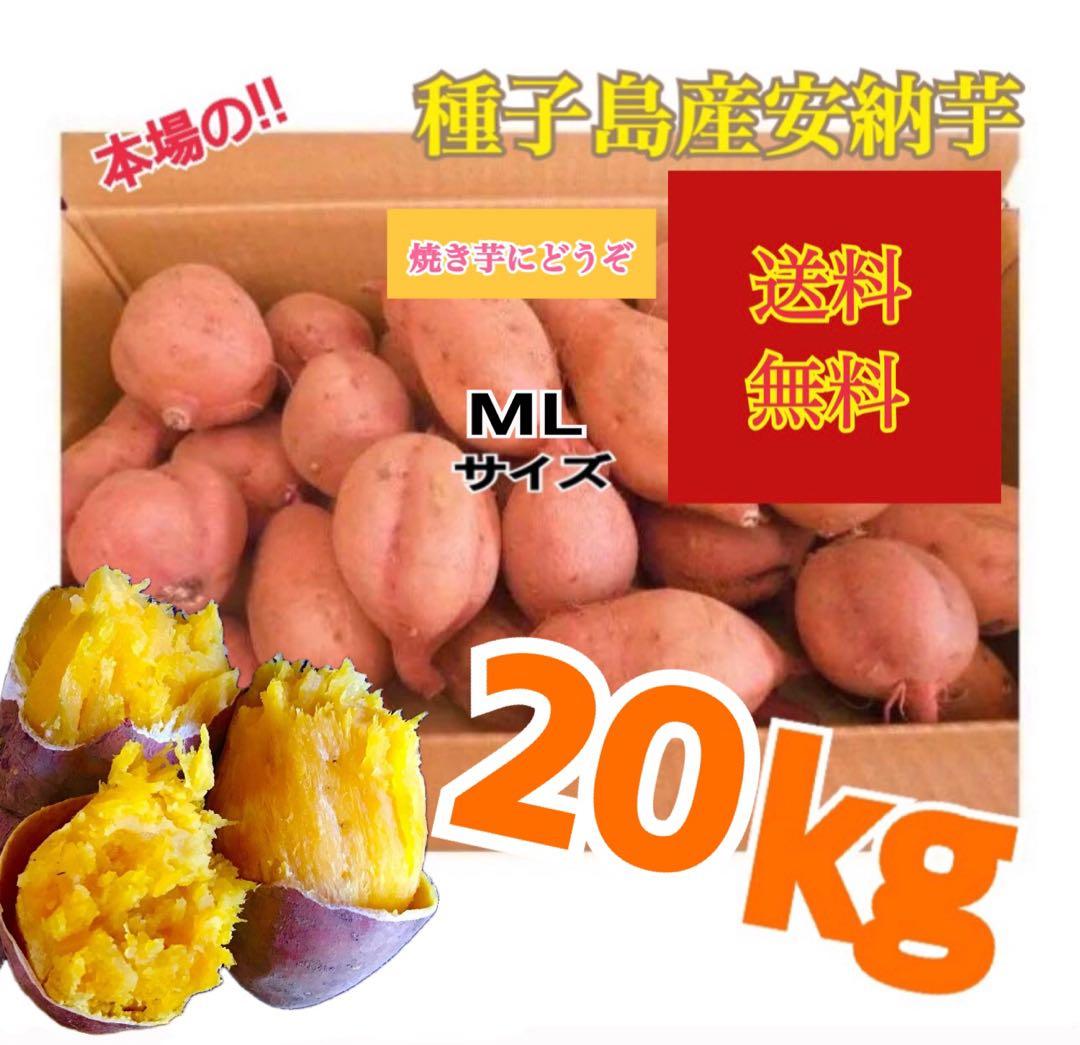 種子島産安納芋　MLサイズ20kgさつまいも 安納芋　どんと#88
