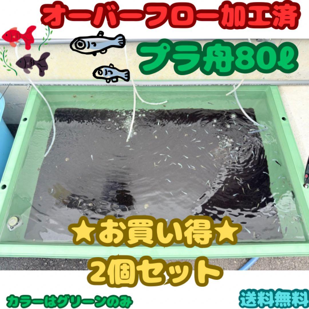 メダカ飼育容器オーバーフロー加工済プラ舟80L 2個セット トロ舟 プランター