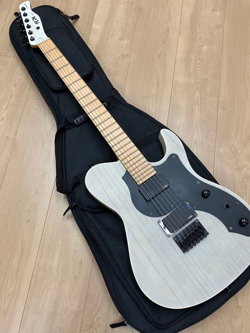ギター FUJIGEN J-Standard ILIAD JIL-ASH-DE664-M