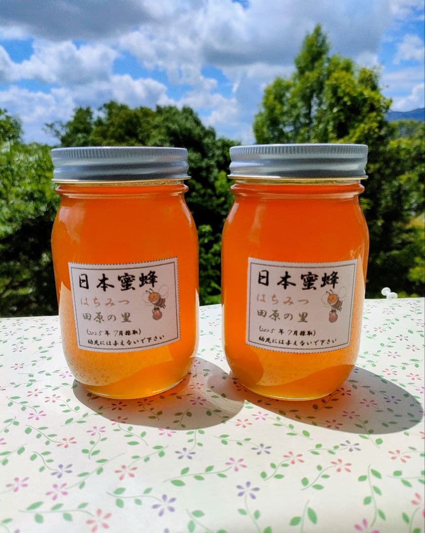 ぷぅ−、実容量600g×2瓶　日本ミツバチの蜂蜜