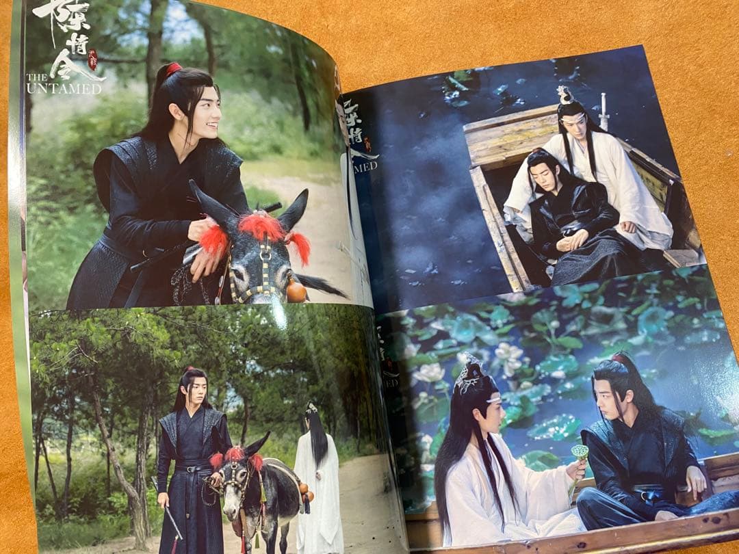 陳情令　博君一肖 王一博肖戦「夏の記憶」写真集