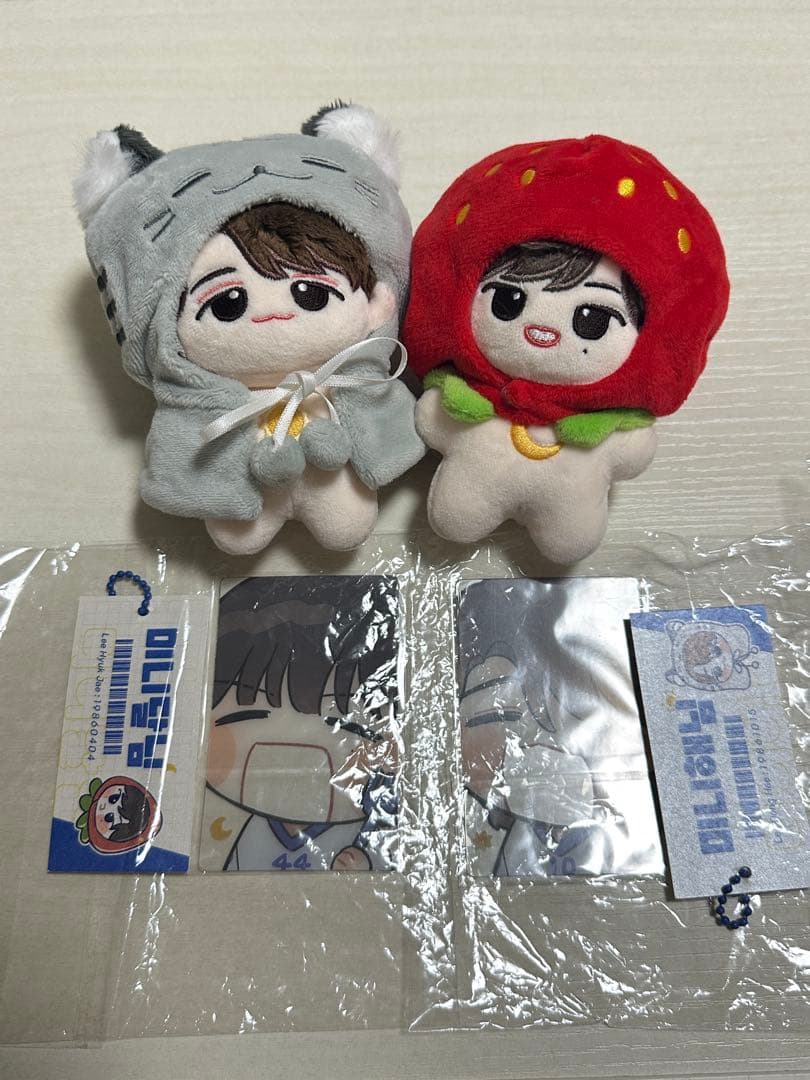 SUPERJUNIOR-D&E 10cm ぬいぐるみ ドンへ ウニョク