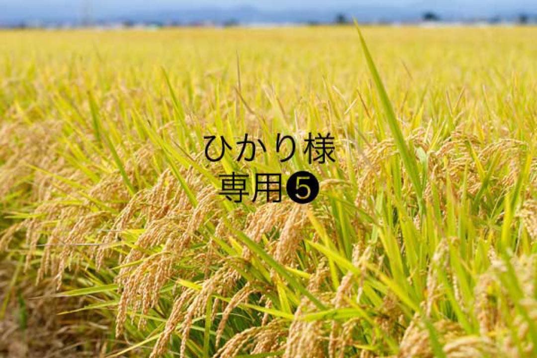 ひかり❺