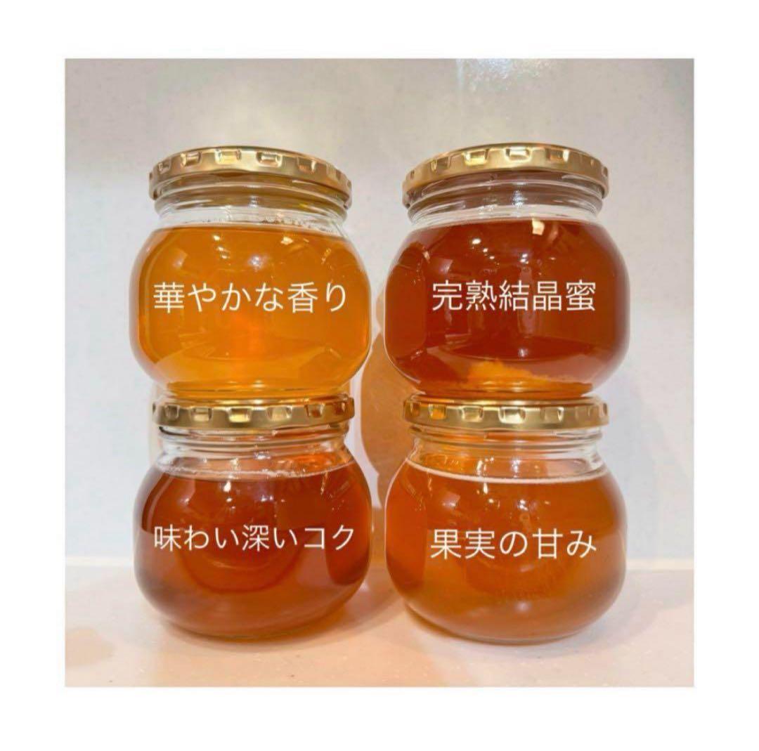 高知県産　生百花蜜　日本蜜蜂　垂らし蜜　非加熱　無添加　はちみつ　食べ比べ