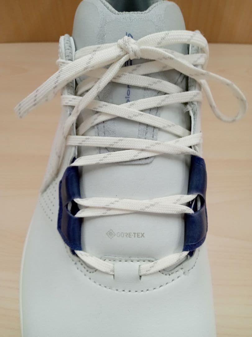 ECCO GOLF メンズ ゴルフシューズ 40サイズ