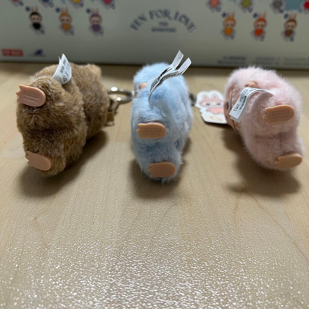 ポラリス