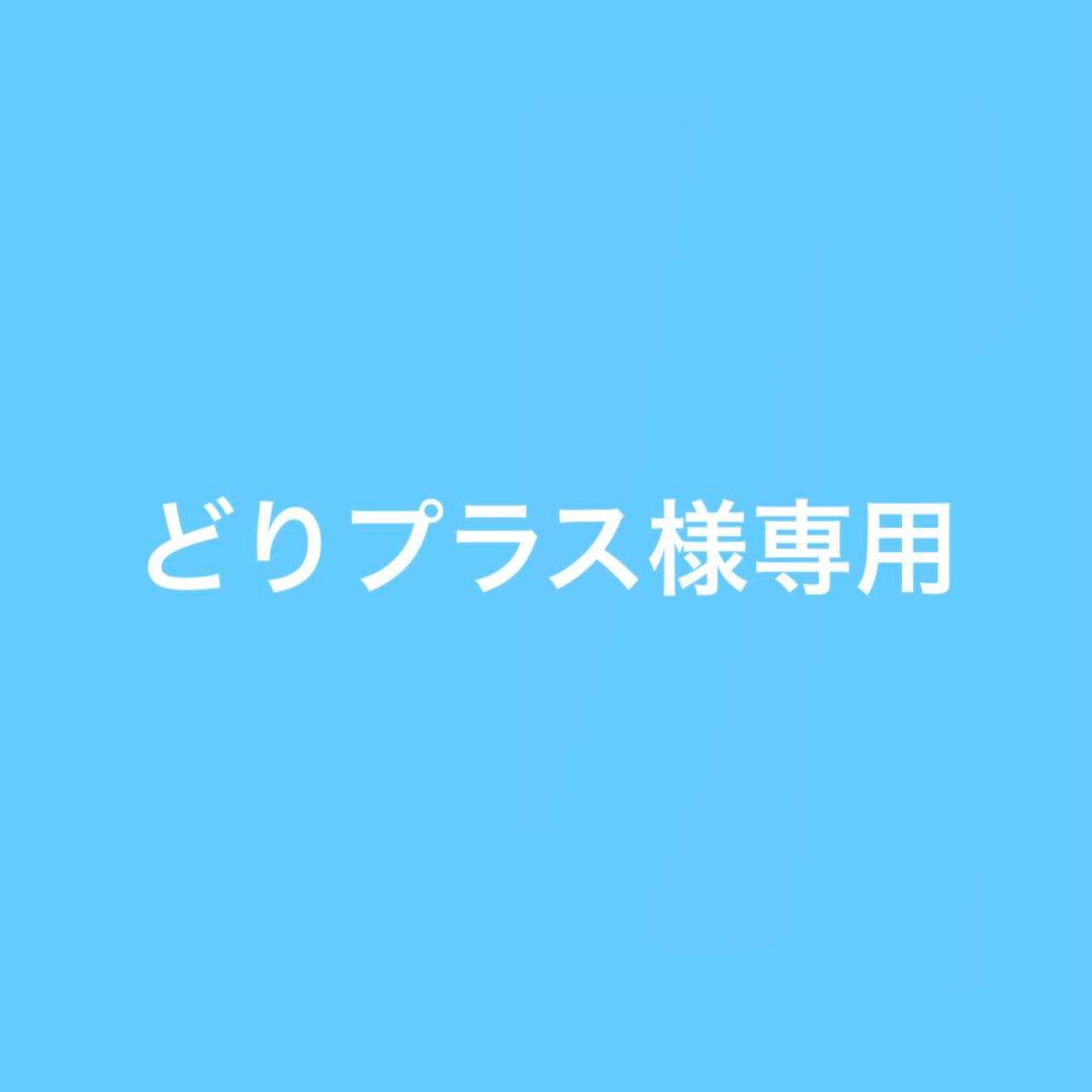どりプラス