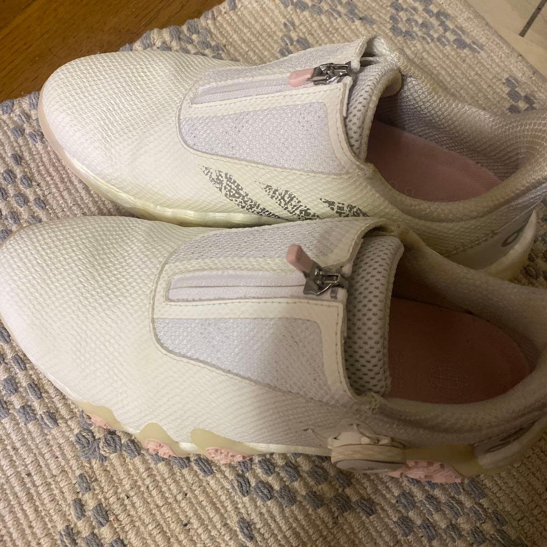 adidas ゴルフシューズ スパイクレス ホワイト/ピンク