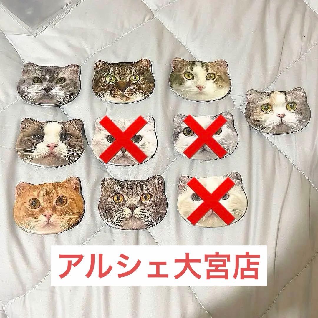 猫カフェmocha モカにゃんず猫型缶バッジ アルシェ大宮店