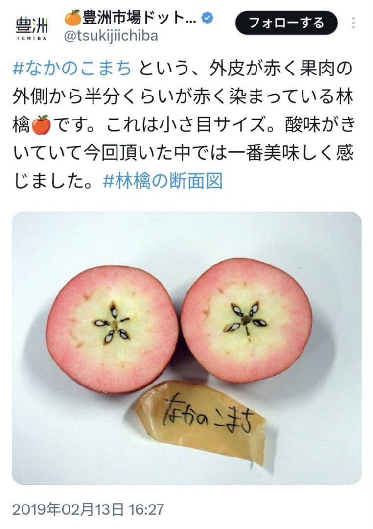 出品者激推し 赤肉りんごランキング上位セレクト　5キロ