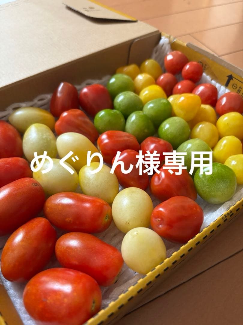 めぐりんです