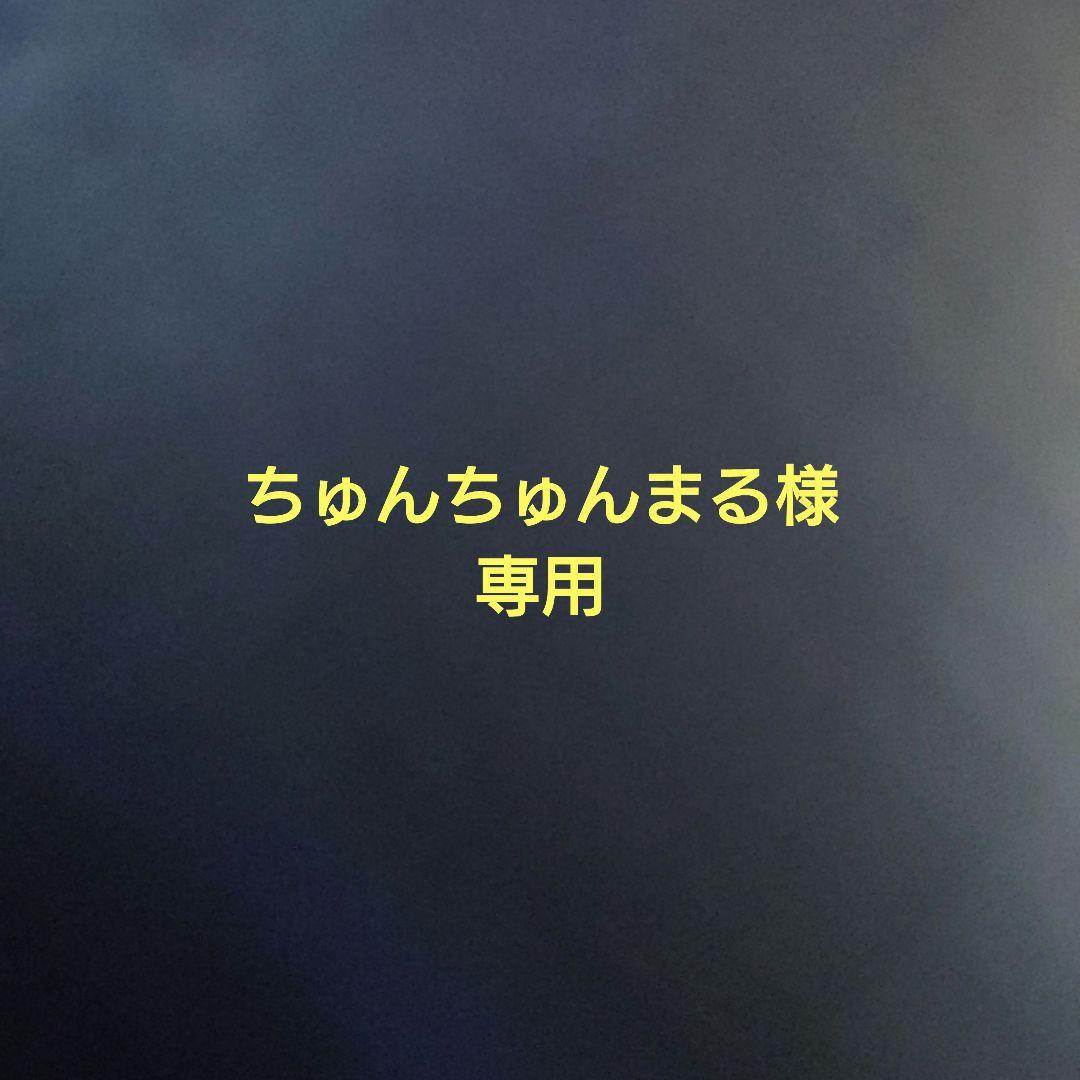 トミカ＋エンブレム＋α