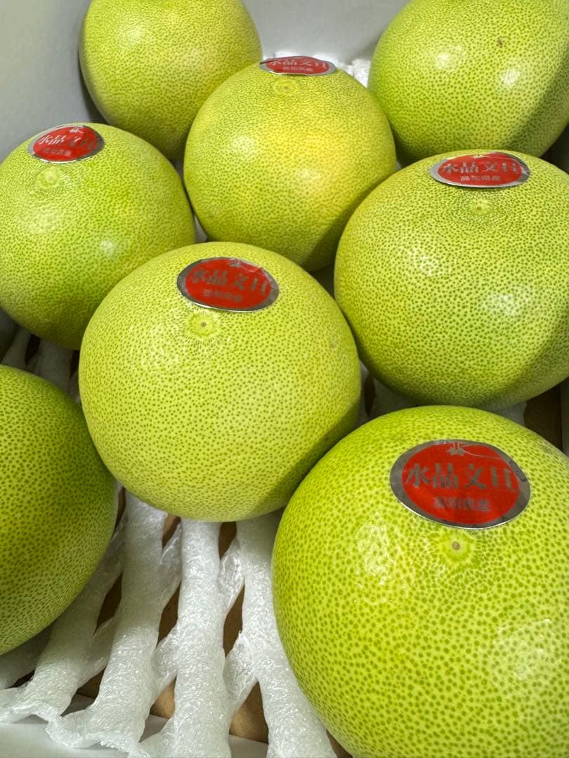 62高知特産 水晶文旦 8～6玉入 約3kg ×8箱 文旦 産地直送 送料無料