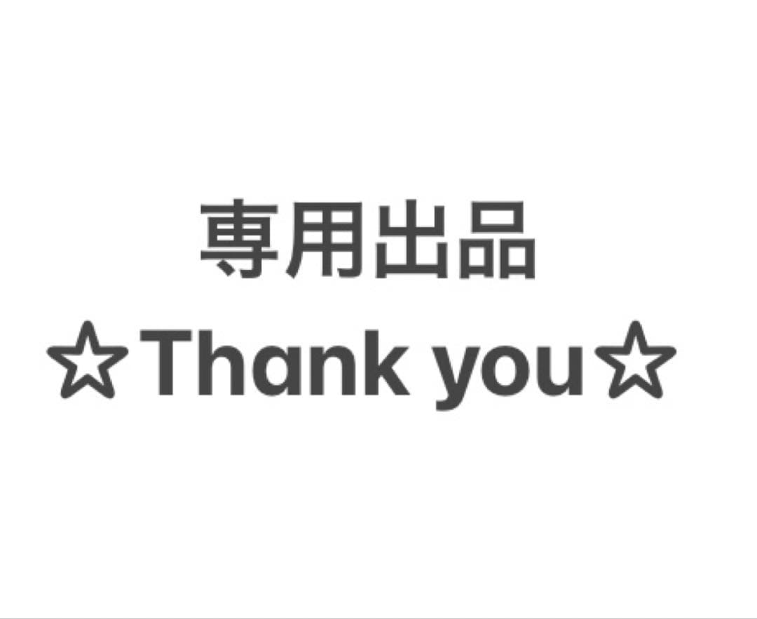 【専用☆⑬】