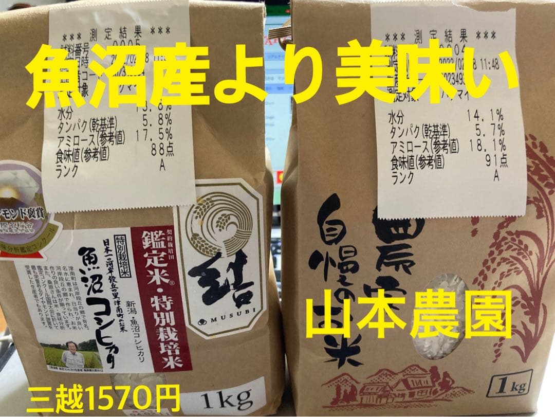 令和7年産 コシヒカリ 天然有機ミネラル栽培米　玄米11kg 精米全国送料込