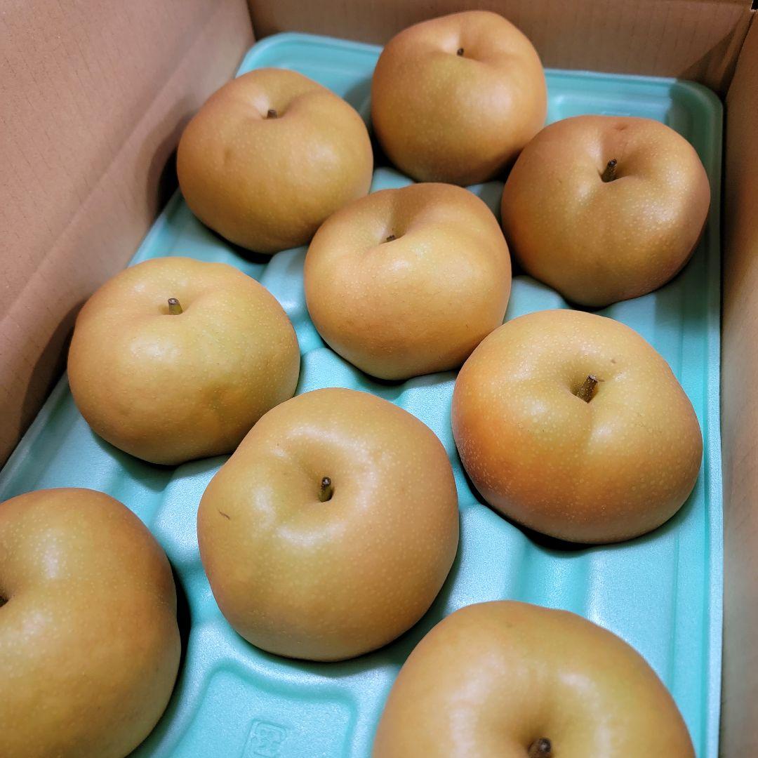 南水 ご家庭用 特大 10キロ 2点