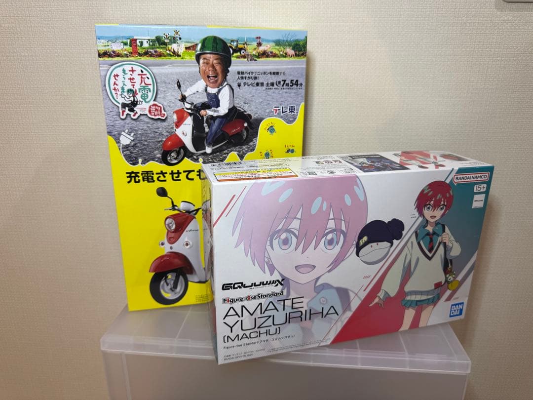 FSアマテ ユズリハ(マチュ) と、充電させてもらえませんか？ E-Vino