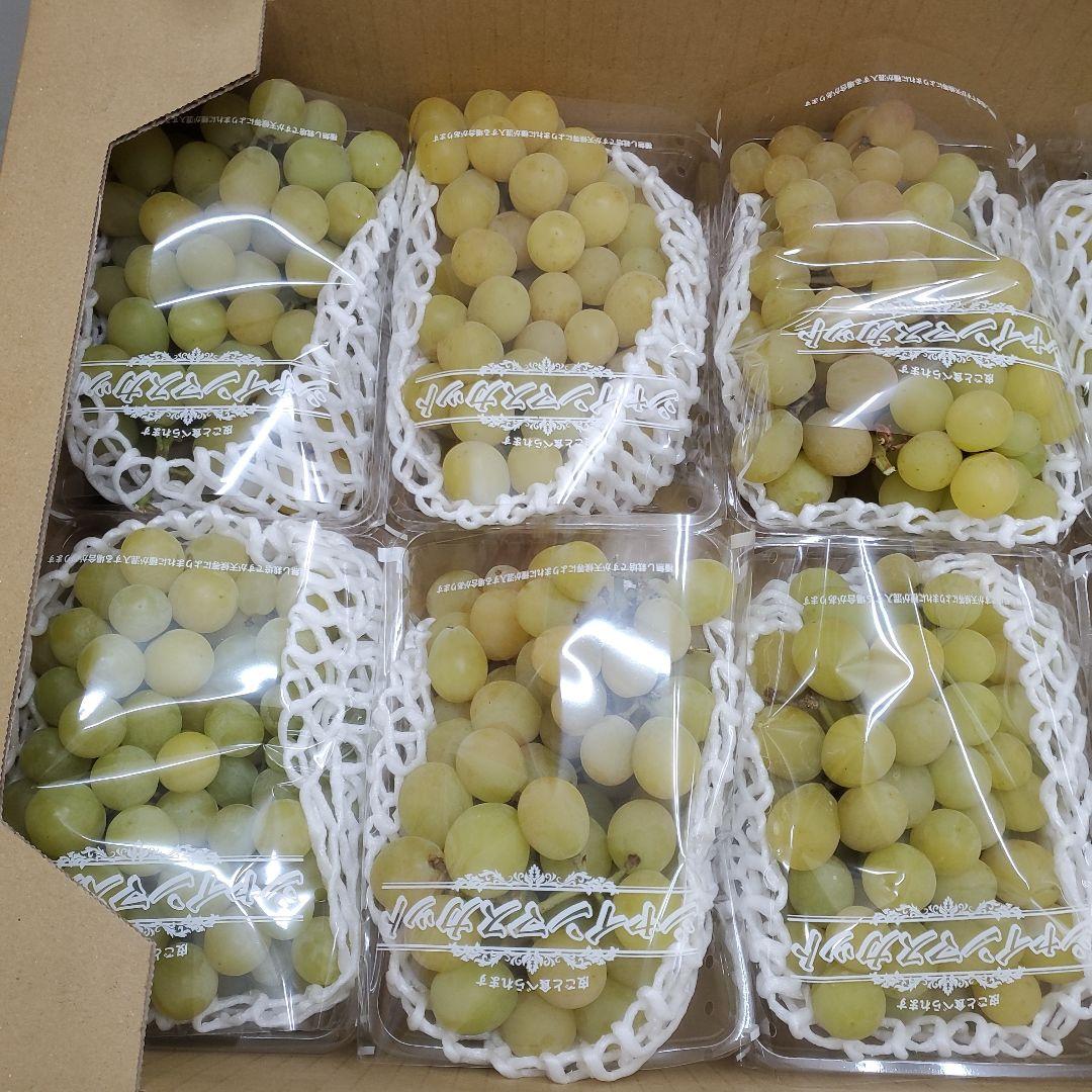 3️⃣ 山梨県産 シャインマスカット １０P入り 箱込み5.8キロ