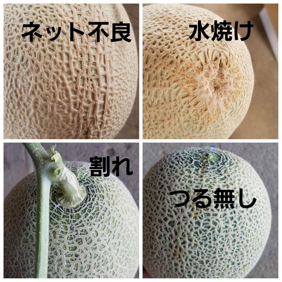 まめ　メロン①