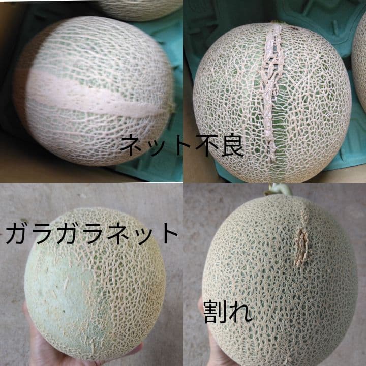 まめ　メロン①