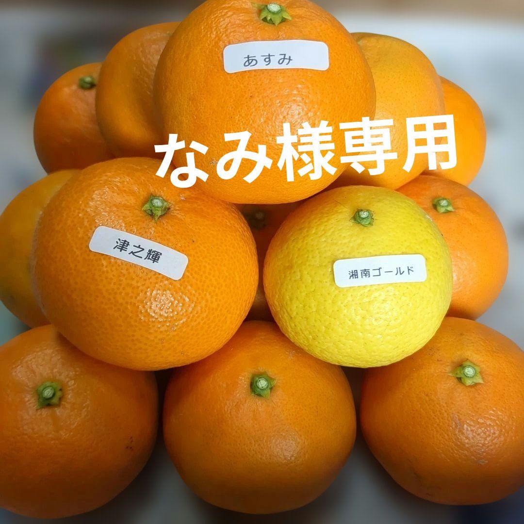 なみ 3種柑橘詰合せ
