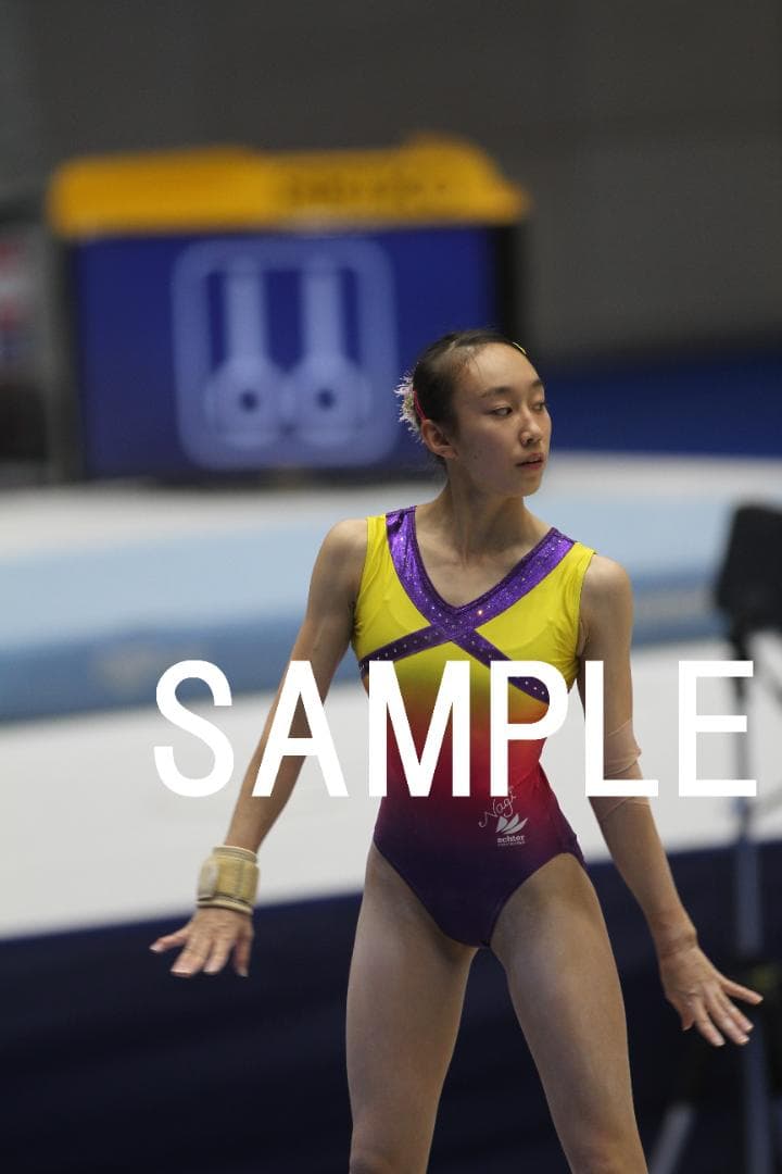 2017年全日本団体体操　日本女子体操画像集②　約9,000枚