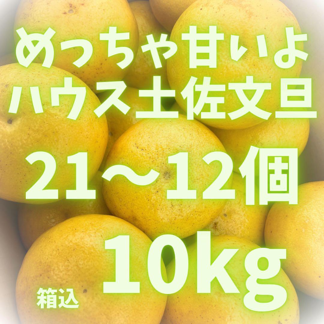 文旦　土佐文旦　ハウス栽培　　39