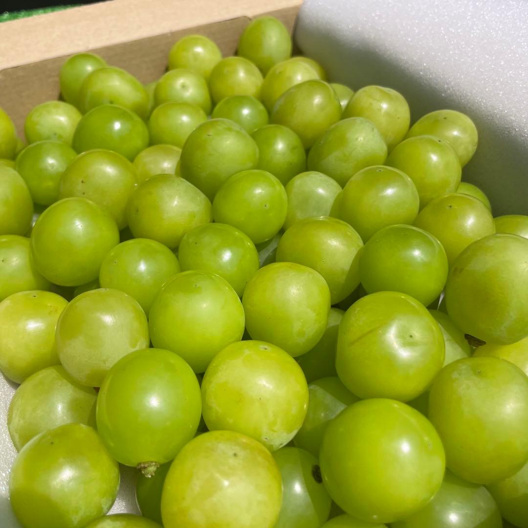 ak55 山梨県産　シャインマスカット　葡萄　グレープ　粒　箱込み5kg