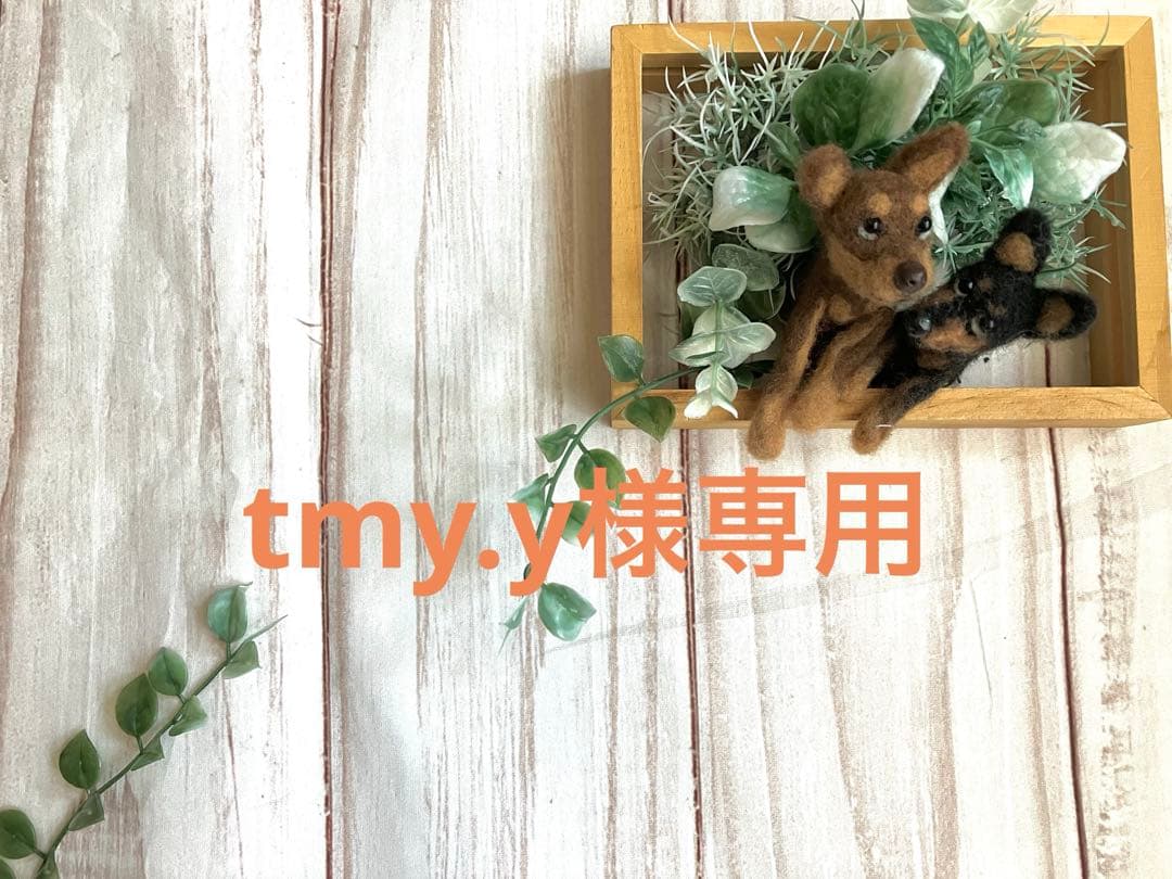 犬服・アクセサリー tmy.y