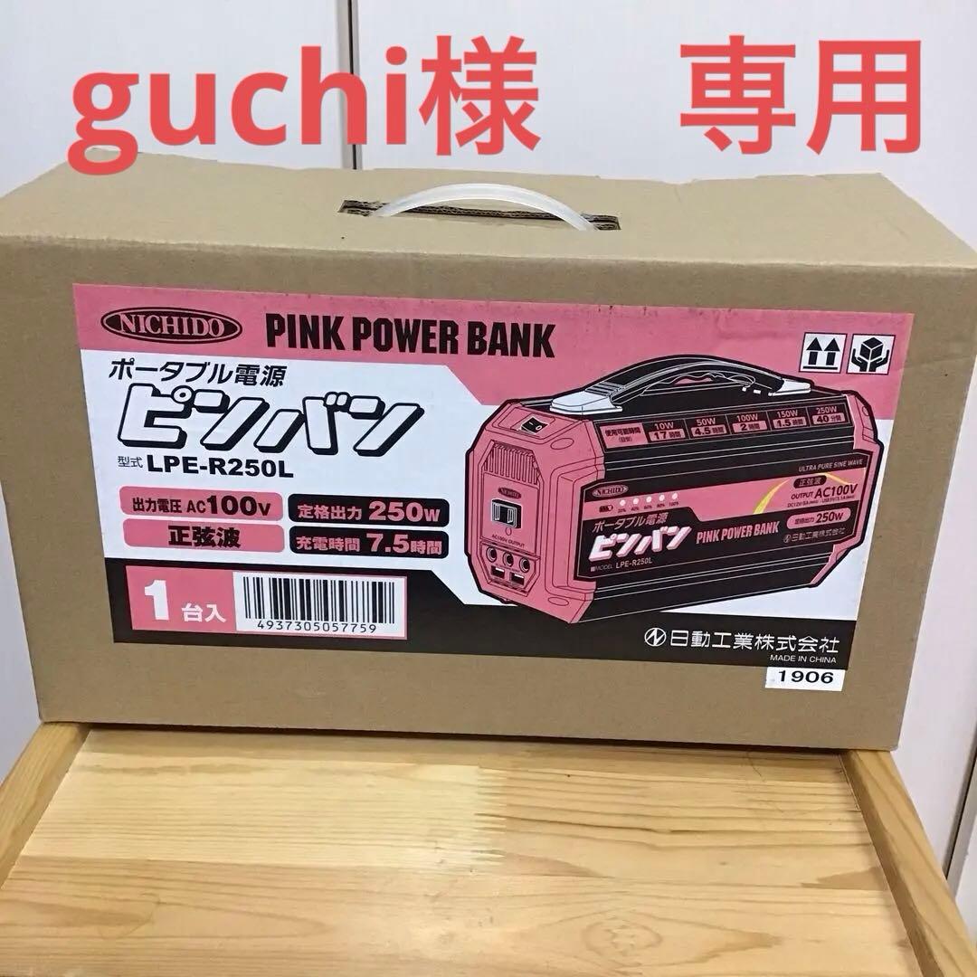 NICHIDO ポータブル電源ピンバン&ピンバン用ソーラーパネル