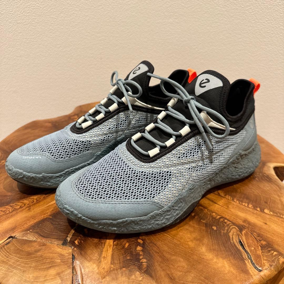 ECCO バイオムH5